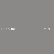 PLEASURE | PAIN